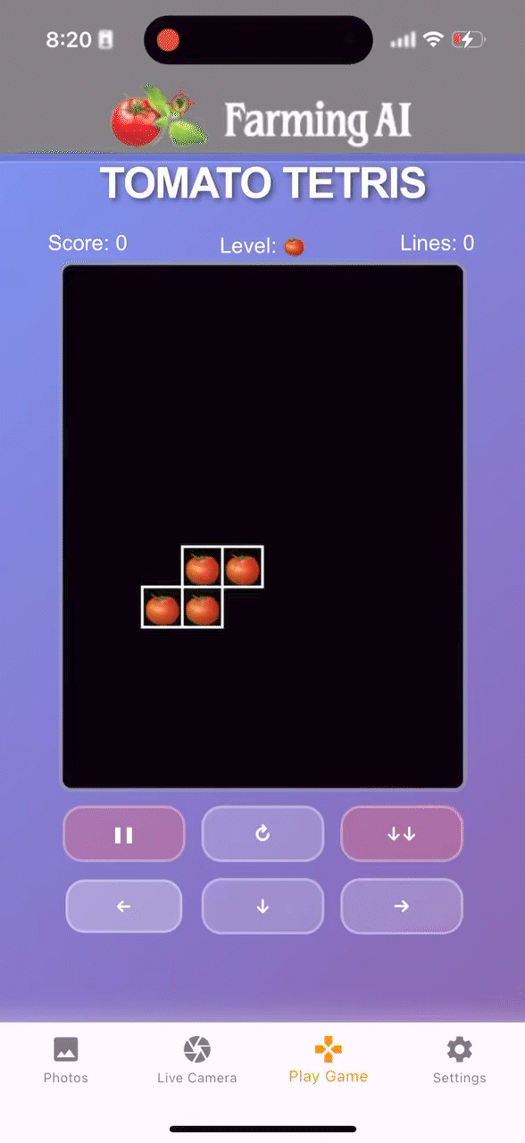 Tomato Tetris Gameplay